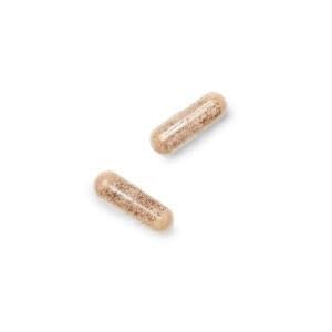 GNC Gentlesorb Iron 18mg Supplement, Supports Healthy Red Blood Cell Formation, 90 Servings