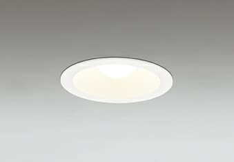 �I�[�f���b�N LED�_�E�����C�g S�` �����F �񒲌� ��100 �~�j�N���v�g�����t�`60W���� �d���F:OD262020LR