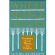 Where Silence Speaks: Feminism, Social Theory, and Religion 0800626354 Book Cover