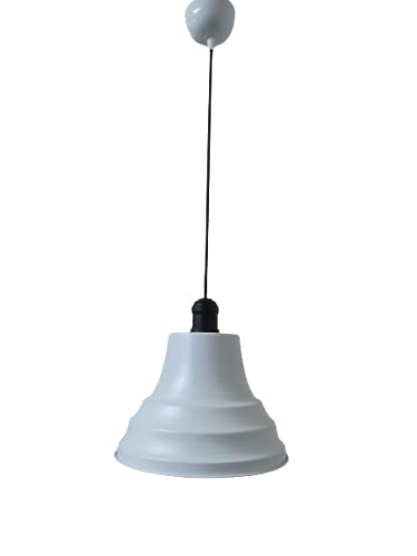 Rsylight Retro Metal Siyah Duylu Beyaz içi Beyaz Tekli Sarkıt Avize Çap.27 cm beyaz rys001182