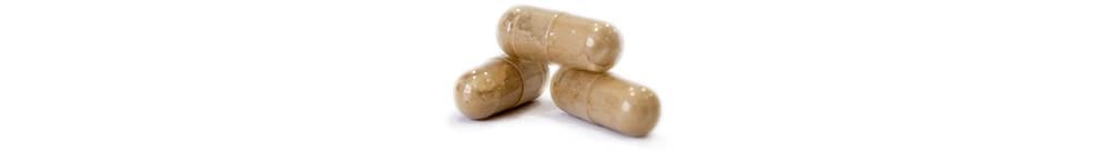 Echinacea Purpurea & Angustifolia * 300 mg / 60 gélules * Titré en échinacosides (2%) et en acide chicorique (4%)