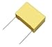 Roederstein / Vishay F17104101000 Capacitor; Polyester Film; Cap 0.1 uF; Tol20%; Vol-Rtg 250 VDC; Radial; Suppression