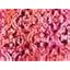 Pink Burst Textured Stencil