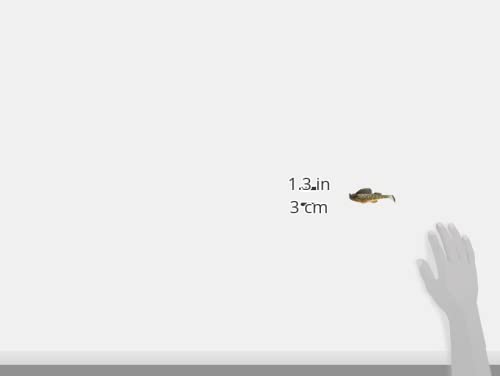 MEGABASS - Dark Sleep 3.8-1 Donko (Sinking) – vue 3
