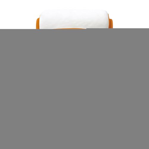 Rullo Pittura Pareti Casa - 2 in 1 per Graffi e Verniciatura con 500g - Inodore per Cucina Bagno Esterni Mobili Costruzione Pareti Porte,Ideale per Pitturare Interni Legno Lavorazione Domestica