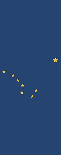 Drapeau Alaska 120 x 300 cm vertical grand format portrait