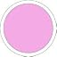 Pink Bloom
