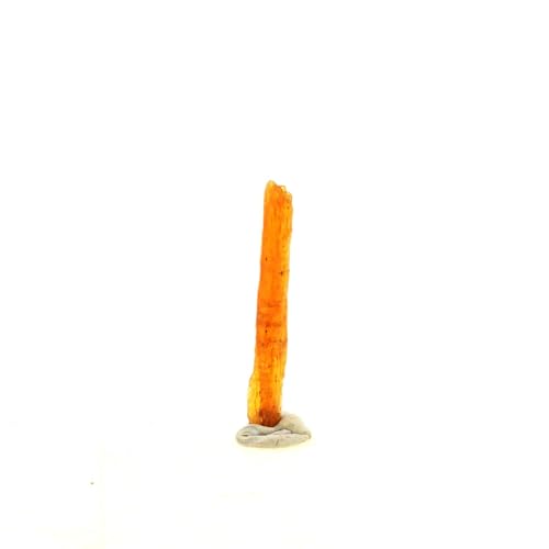 Cyanite orange de 1.17 Carats de Sangulungulu Hill : un morceau de terre africaine éternel