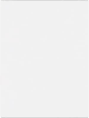 9 x 12 Open End Envelopes - 28lb. Bright White (250 Qty.) | Perfec