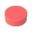 Coral Orange