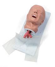 SIMULAIDS Economy Adult Airway Management Trainer
