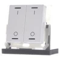 KNX Button Light 55, двойной, RGBW, чисто белый глянцевый, переключаемый