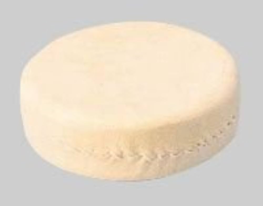 丸い文鎮 ホリウチ 丸型 文鎮 (ぶんちん) 約380g 6個セット 約6.5cm×2.0cm