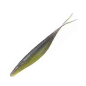  fvX [ TJ}^Vbh 6C` #20 EH[^[vu[