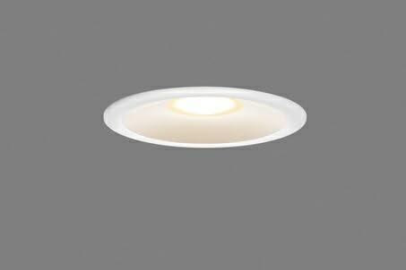  ZpƖ AEghA_ECg LEĎ` 125mm M100WNX dF(2700K) (zCg) LEDD87054L(W)-LS