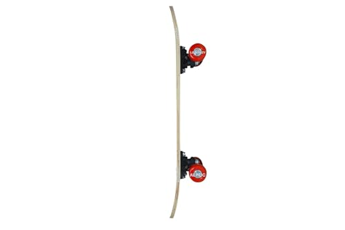 Image of BABAFAB Portable Handheld Lightweight Skateboard 24 inchX 6 inch Light Flashing 4 Wheels Mini Cruiser Skateboard, Beginners Longboard Suitable for Kids, Age (5-9 Years) Spider