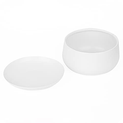 Pot's & Plant's Metal Planter Pot for Indoor Plants & Flowers Table Top Planter for Living Room, Home Decor, Terrace, Balcony & Home Gardening (Matte White with Drain Plate, 2)