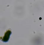 Review Image by Demetrius Demetrius