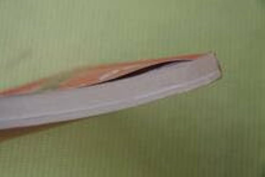 Amazon.co.jp: RCサクセション ザ・ベスト バンドスコア 22曲