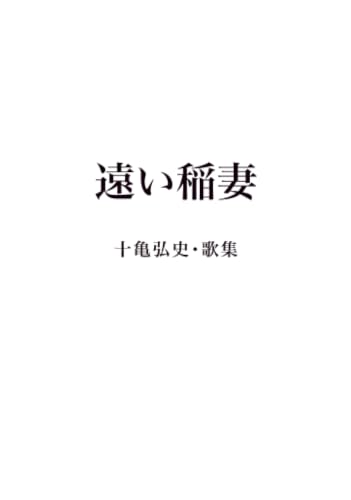 遠い稲妻: 十亀弘史・歌集 (MyISBN - デザインエッグ社)