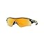 Polished Black/Prizm 24k Polarized