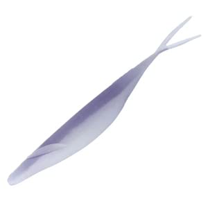 fvX TJ}^Vbh FGR 8in ǉJ[ 147p[vVbh