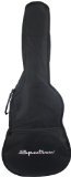 Spectrum AIL AGX Acoustic Guitar Gig Bag with Bonus Strings