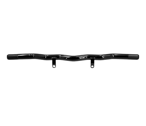Barre de protection moteur Sportster 1250S pour sécuriser vos longs road trips