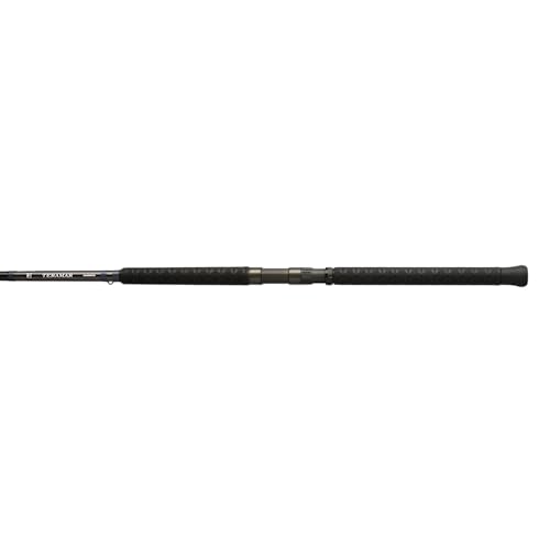 Shimano Teramar TERWCC90HC2 cannes de pêche côtière en eau salée de 2,7 m