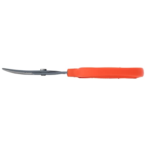 Tijeras curvas Chikamasa B-500SRF con recubrimiento de fluor miniatura 3