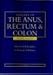 Surgery of The Anus, Rectum and Colon (2-Volume Set)