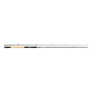 ABU GARCIA Tormentor Spinnrute