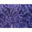 Purple Textured Medallion