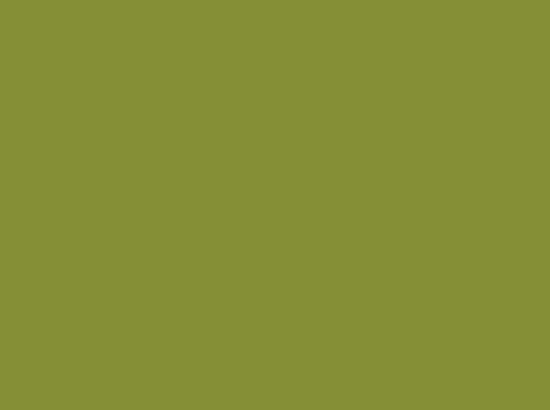 Fiber Reactive Fabric Dye for Cotton - 2/3 Ounce - Avocado