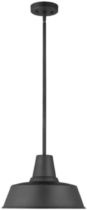 Sea Gull Lighting Barn Light-1 Light Outdoor Pendant-Black Finish-LED Lamping Type