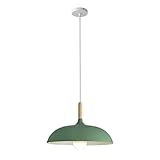 △【Scène applicable】 : parfait pour la décoration d'éclairage de votre salon/salle à manger/chambre/cuisine/salle à manger/île/ferme/café/bar/club/maison.