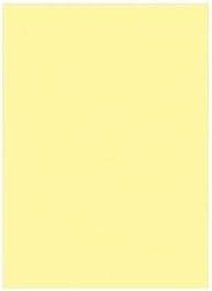 リンテック ニューカラーR 四つ切 うすあお 4NCR-216 1パック （100枚） 日用品雑貨・文房具・手芸 文房具・事務用品 文具 オフィス用品  文房具 事務用品 ノート・紙製品 画用紙 リンテック ニューカラーR 四つ切 うすあお 4NCR-216 1パック （100枚） 【×５セット】 【お  ... （業務用セット） 文運堂 ニューカラーR 四ツ切 横392×縦542mm 4NCR-134 ライトイエロー 100枚入 【×2セット