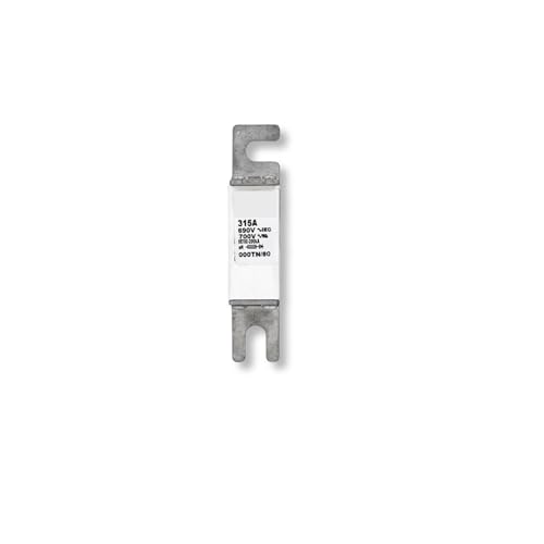 Image of 170M3814 Fast Fuse /Fuse