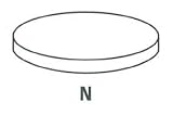 IPSA