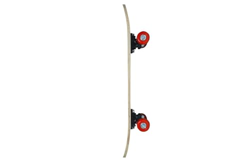 Image of BABAFAB Portable Handheld Lightweight Skateboard 24 inchX 6 inch Light Flashing 4 Wheels Mini Cruiser Skateboard, Beginners Longboard Suitable for Kids, Age (5-9 Years) (Spider Man Print)