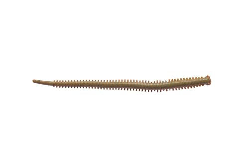 Berkley (バークレイ) ガルプ!SWサンドワーム2 G2SQSW2 各種 匂い 味 ワーム 3枚目