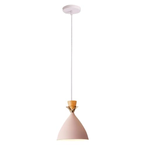 Lustre de style norde27s à tête unique et suspension design aux finitions minimalistes pour chambre