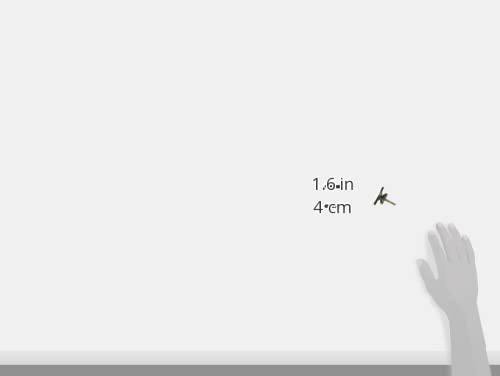 Consejos y reviews para comprar Tapones cubre taladros los 10 mejores. 3 Imagen adicional