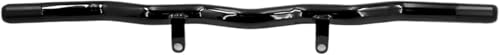 Barres de protection pour Sportster S RH1250S et RH975 à partir de 2021
