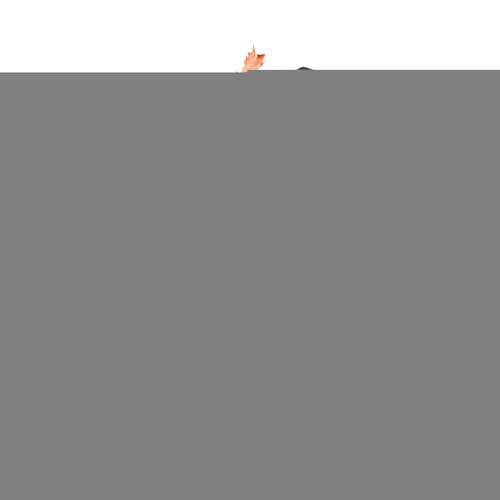 Gungtj GAR Jo[, fM [ X[u - GARJo[ - ƒp rO[p Qp Ep Ap[gp ݌p