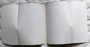 Amazon.co.jp: 商品名：しびれのスカタン 第1巻 注文カード付