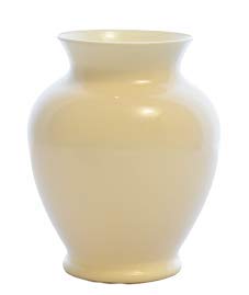 Oasis Acrylic Vase Multipurpose Home Office Table Decoration Flower Indor Plants Secculants Vase Ginger Ivory 9x16cm (1 No)