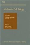 Methods In Cell Biology, Volume 73: Cumulative Index, Volumes 53-71