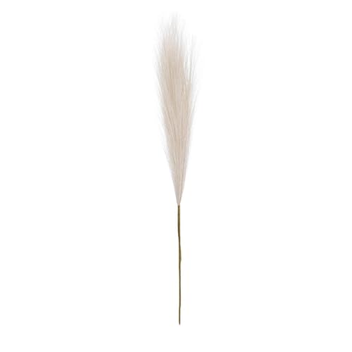 8PC Artificial Pampas Grass Stems, Cream Pampas Grass fluffys, fluffys Pampas Grass Artificial, Dried Pampas Grass Decor, Pampas Branches Bouquet Flora Feathers For Living Room,Floor Vase, Wedding