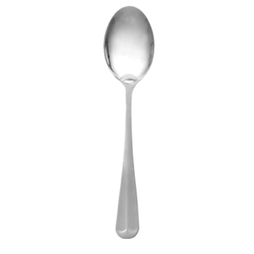 FSE SLDK104 Dinner Spoon, 7.24